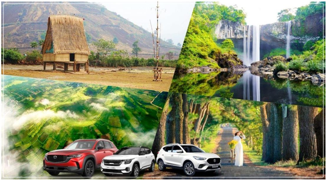 [2026] Bảng giá thuê xe tự lái Gia Lai giá rẻ